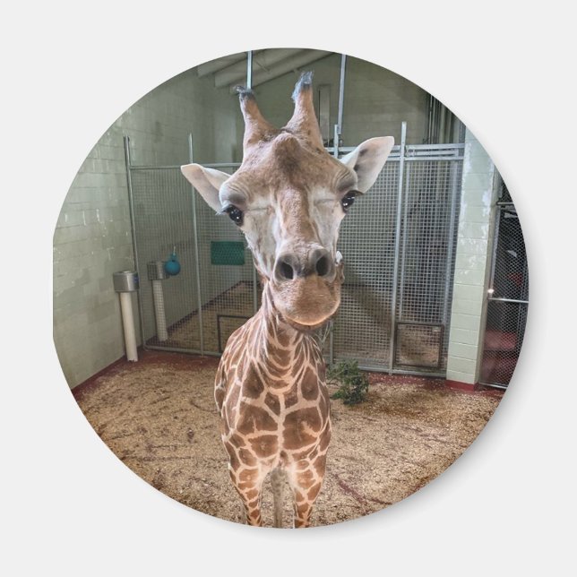 Skärmbrytare Magnet (Framsidan)