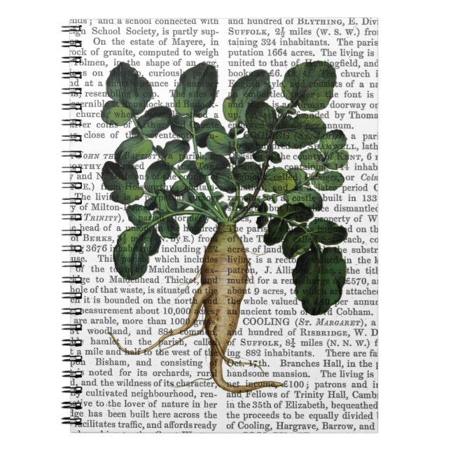 Skärp 1 anteckningsbok (Framsidan)