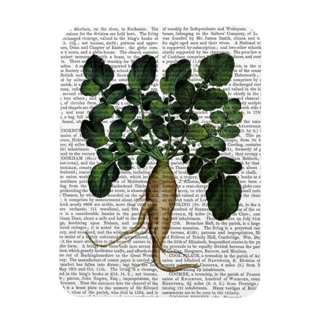 Skärp 1 magnet (Vertikal)