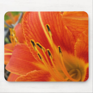 skarp orange musmatta