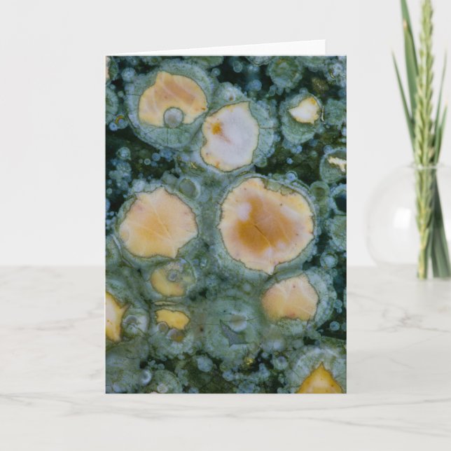 Skarpad Ocean Jasper Kort (Framsida)