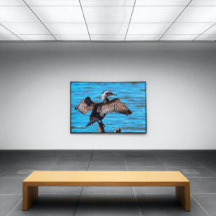 Skarv med utspridd Vingar på Vatten Canvastryck