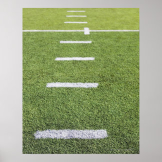 Skarvar på fotbollen Fält Poster