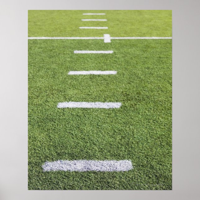 Skarvar på fotbollen Fält Poster (Framsidan)