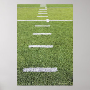 Skarvar på fotbollen Fält Poster