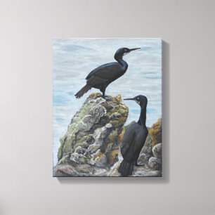 Skarvar på Sten Skriv ut på Canvas