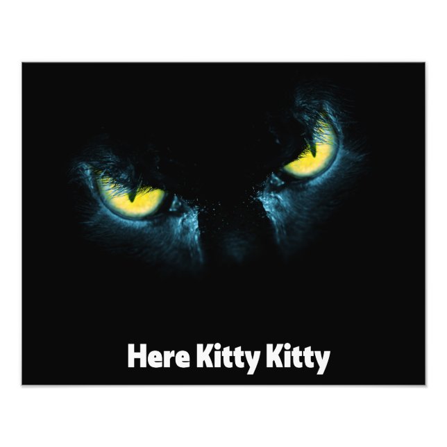 Skary cat ögon på svart bakgrund fototryck (Framsidan)