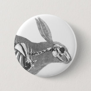 Skary vintage bunny skelett knapp