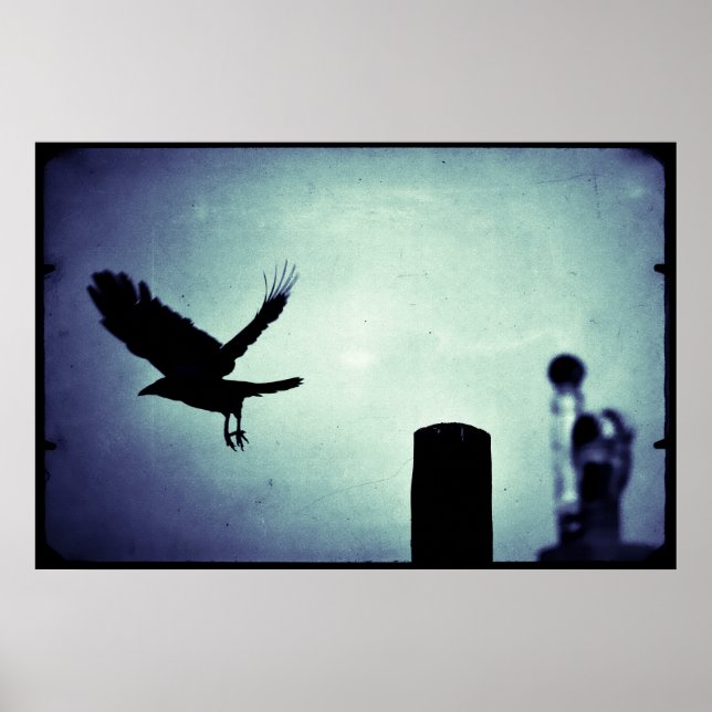 Skatan Magpies Midnattsflykt Poster (Framsidan)