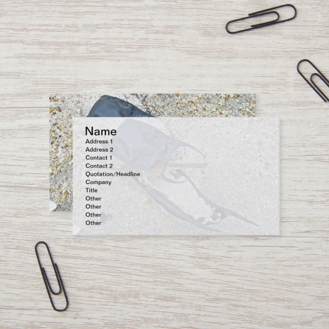 Skate Egg-Caseser på stranden Visitkort (Fram/Back In Situ)