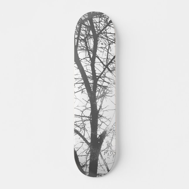 SKATEBOARD  (Framsida)