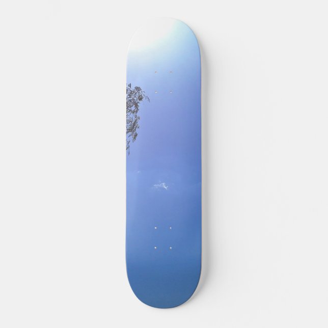 SKATEBOARD  (Framsida)