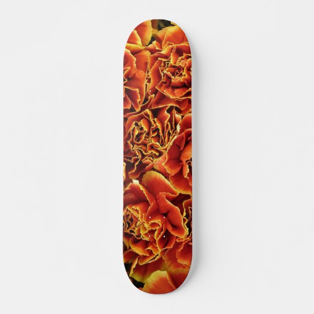Skateboard (Framsida)