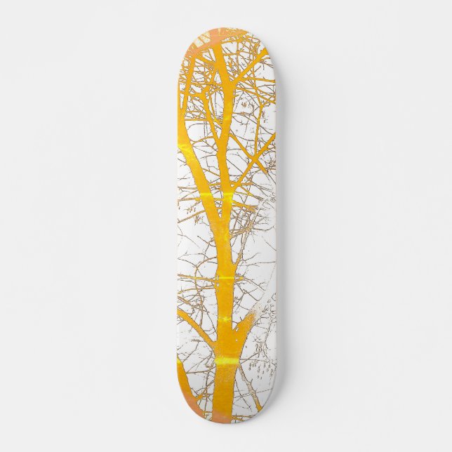 SKATEBOARD  (Framsida)