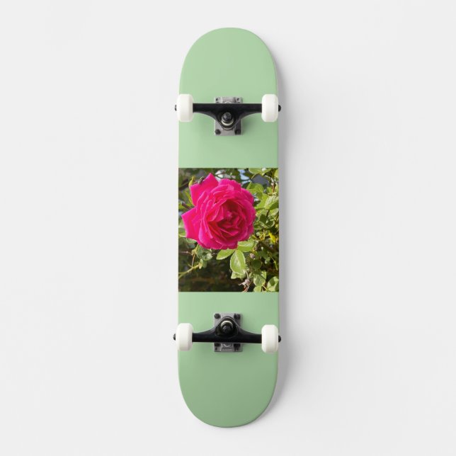 Skateboard (Framsida)