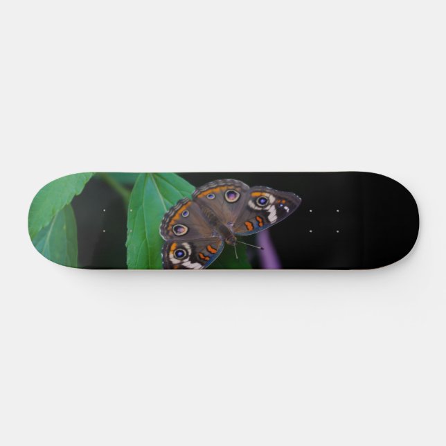 Skateboard av fjärilsmussla (Horz)