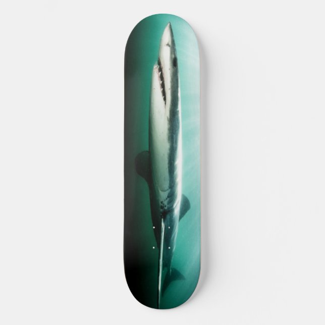 Skateboard BEAUTIFUL Shark Predator. (Framsida)