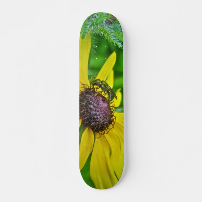 Skateboard Bee and Black Eyed Susan Bräda 21,5 Cm (Framsida)