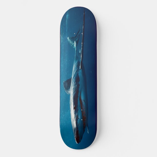 Skateboard Blue Shark Predator. (Framsida)