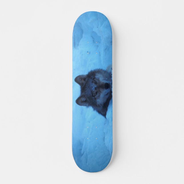 Skateboard Blue Snö Timber Varg Skateboard (Framsida)