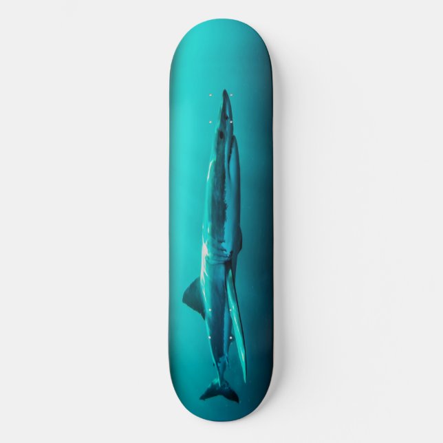 Skateboard Bull Shark Predator. (Framsida)