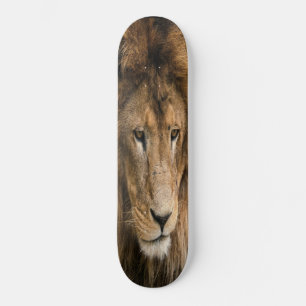Skateboard byggt LEJON