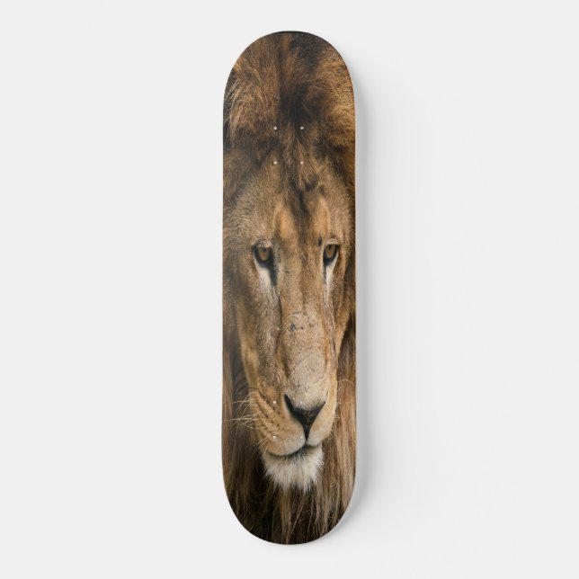 Skateboard byggt LEJON (Framsida)