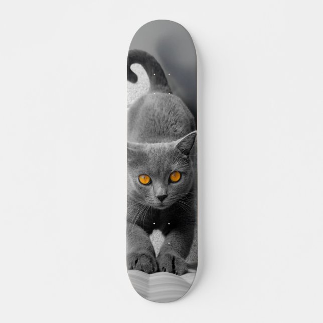Skateboard Curioso gato británico de pelo corto (Framsida)