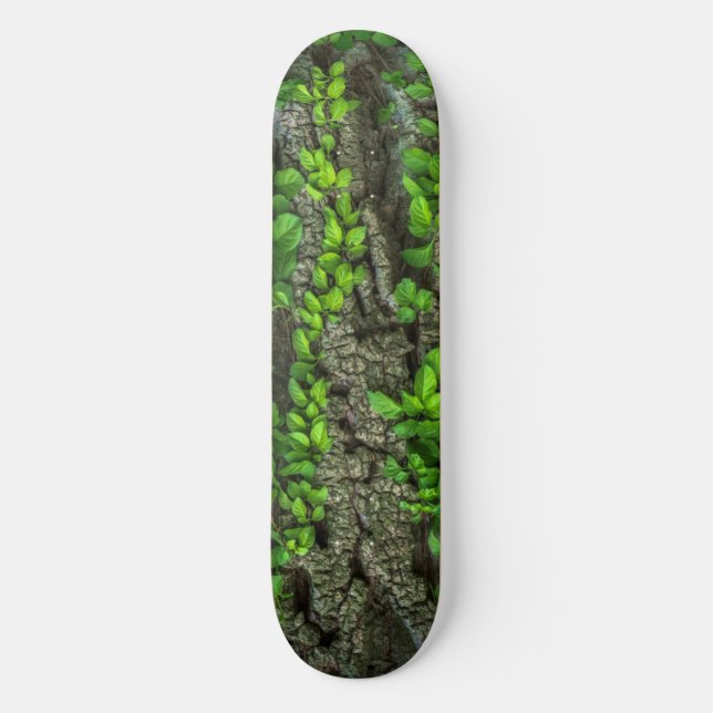 Skateboard Deck Träd (Framsida)