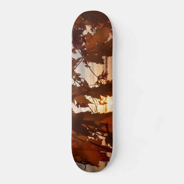 Skateboard feuilles d'érable bräda 20 cm (Framsida)