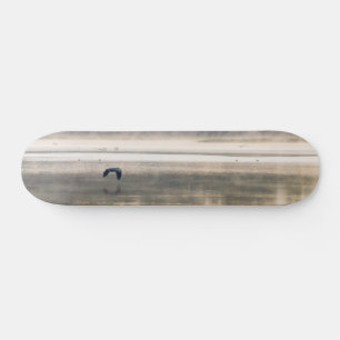 Skateboard Foggy Morgon Flight