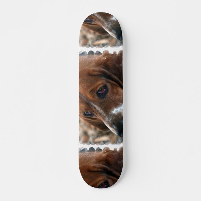 Skateboard för Bassethunddesign (Framsida)