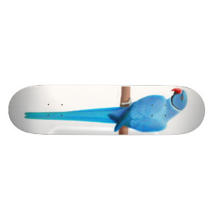Skateboard för blåttRingneck papegoja
