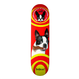 Skateboard för Boston TerrierMirabelle