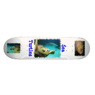Skateboard för havssköldpaddadesign