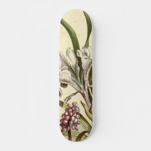 Skateboard för Hund Violett