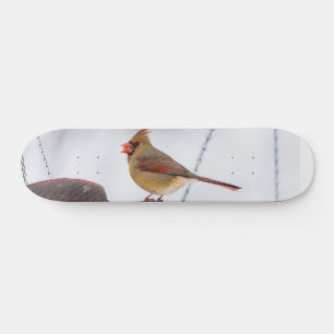 Skateboard för kvinnlig kardinaltid