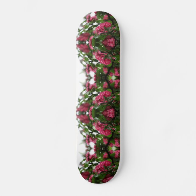 Skateboard för nedre underkant (Framsida)