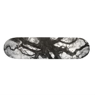 Skateboard för Oakträd Bräda 20 Cm