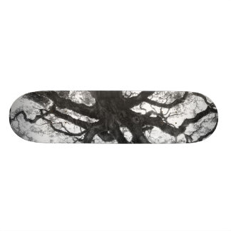 Skateboard för Oakträd Bräda 20 Cm