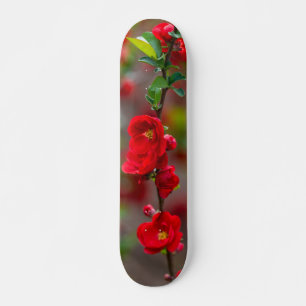 Skateboard för scarlet Line