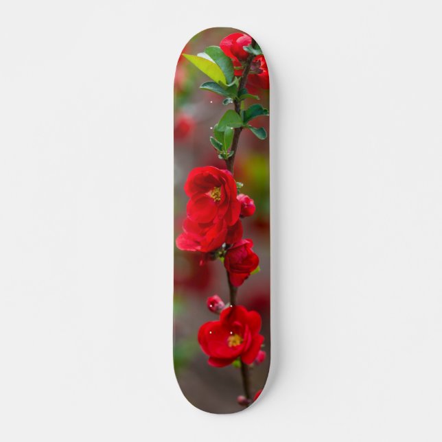 Skateboard för scarlet Line (Framsida)
