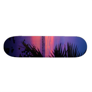Skateboard för solnedgång för palmträd för Da Bräda 19,5 Cm