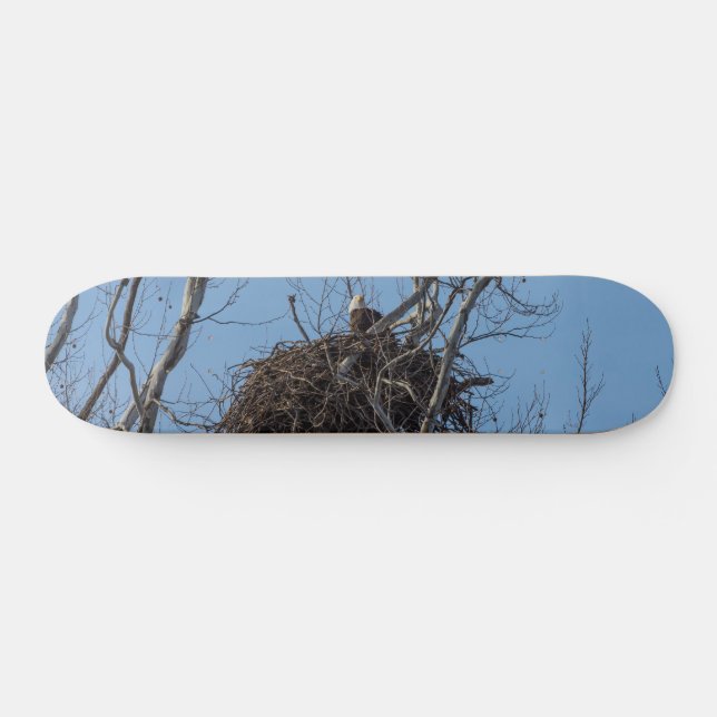 Skateboard för vaktning av Eagle (Horz)
