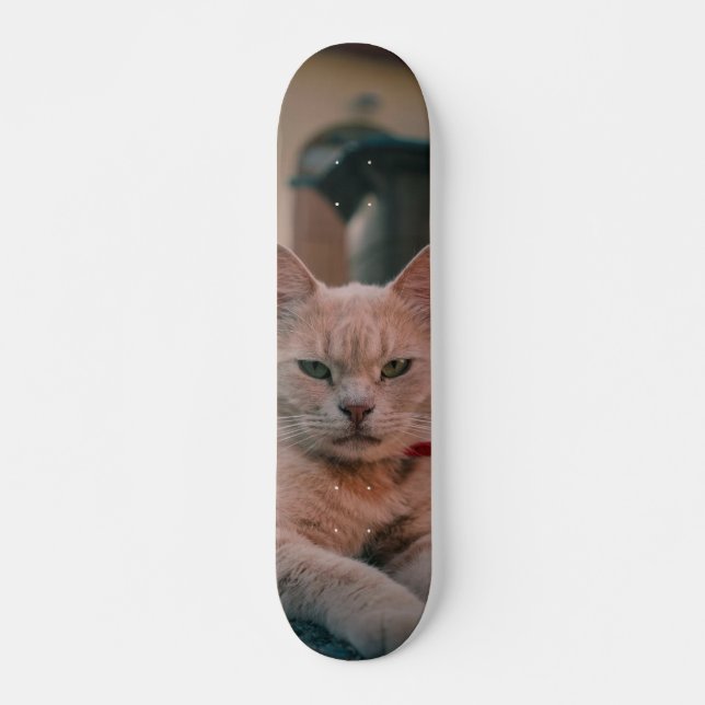 Skateboard Gato atigrado naranja con seria actitud (Framsida)