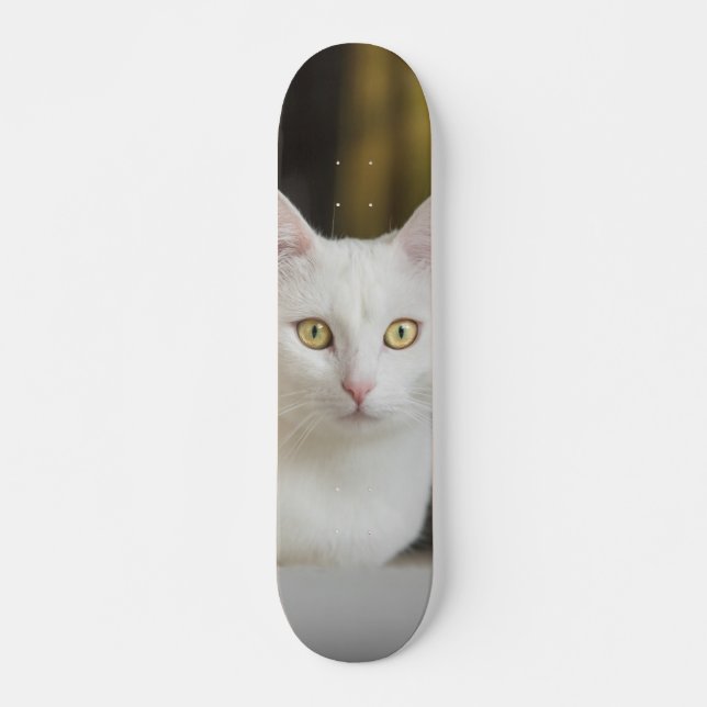 Skateboard Gato blanco con ojos amarillos (Framsida)