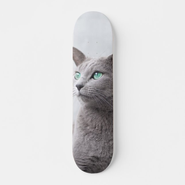 Skateboard Gato de raza azul ruso de ojos verdes (Framsida)