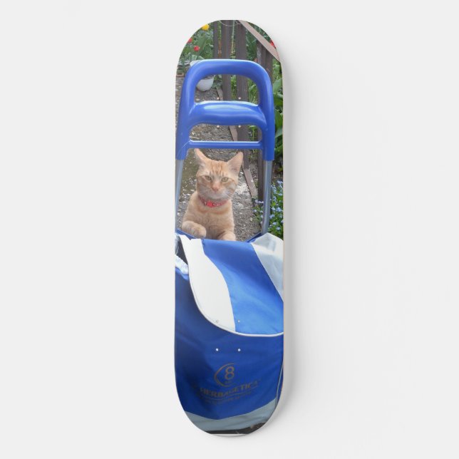 Skateboard Ginger Cat (Framsida)
