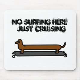 Skateboard-hund-musmatta Musmatta