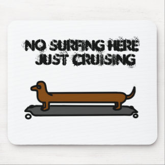 Skateboard-hund-musmatta Musmatta